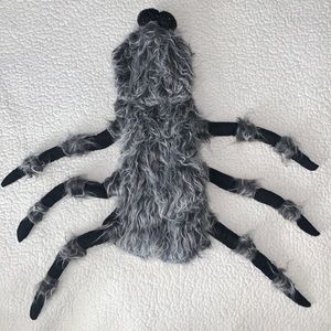 Spider Dog Halloween Costume